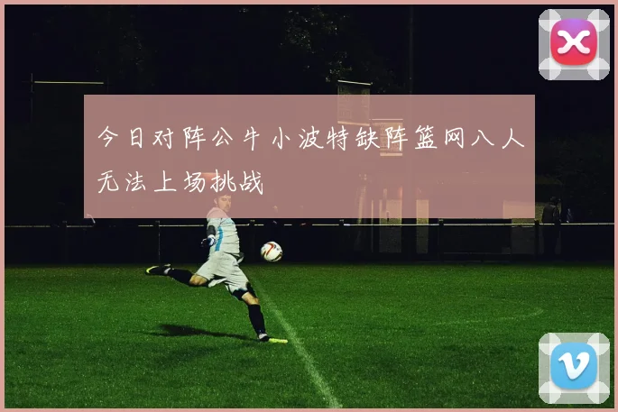 今日对阵公牛小波特缺阵篮网八人无法上场挑战