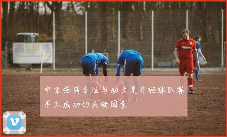 申京强调专注与动力是年轻球队赛季末成功的关键因素