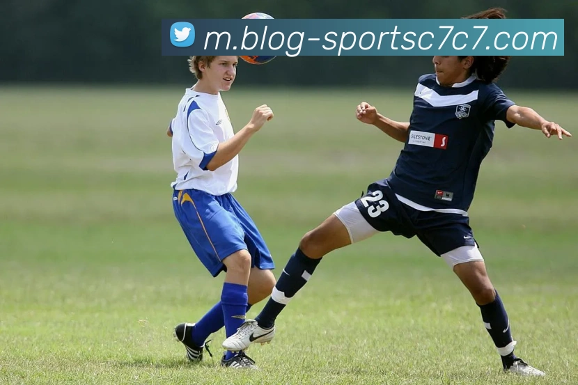 C7C7娱乐平台生态图